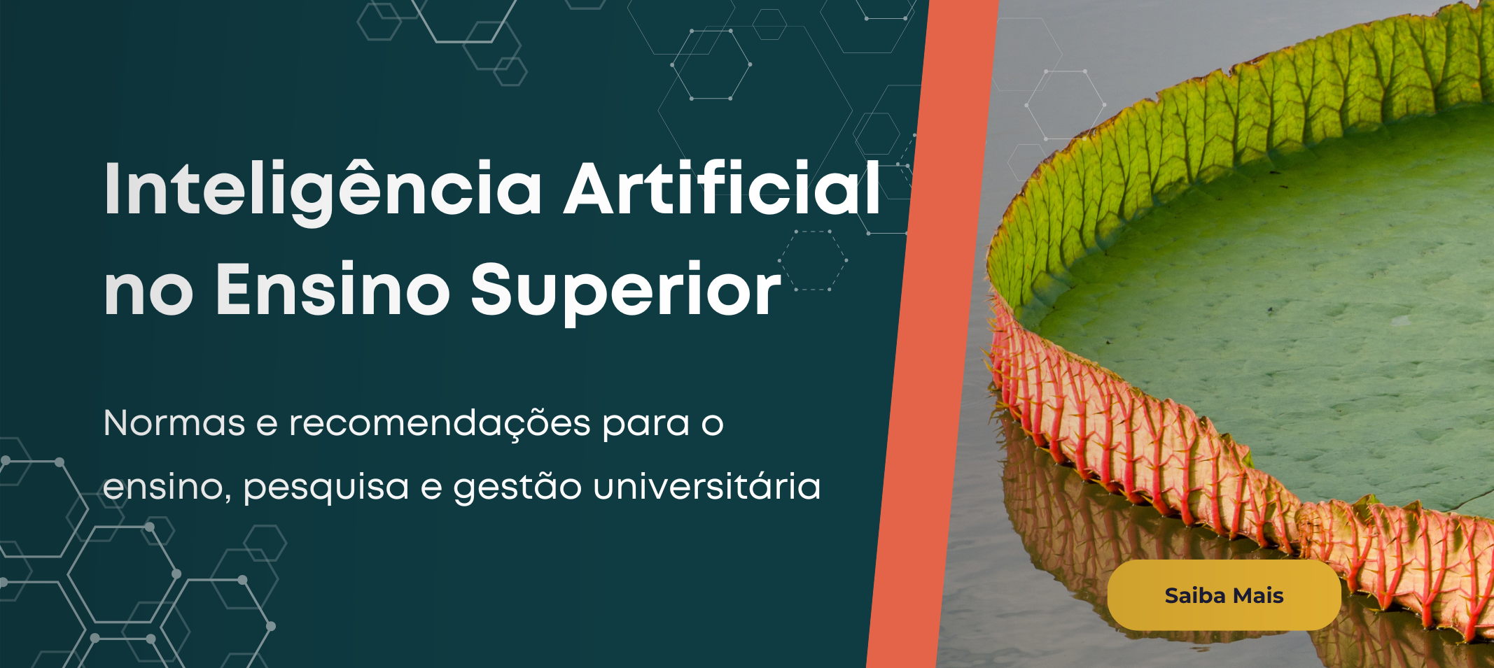 IA: Ética, Inovação e Governança