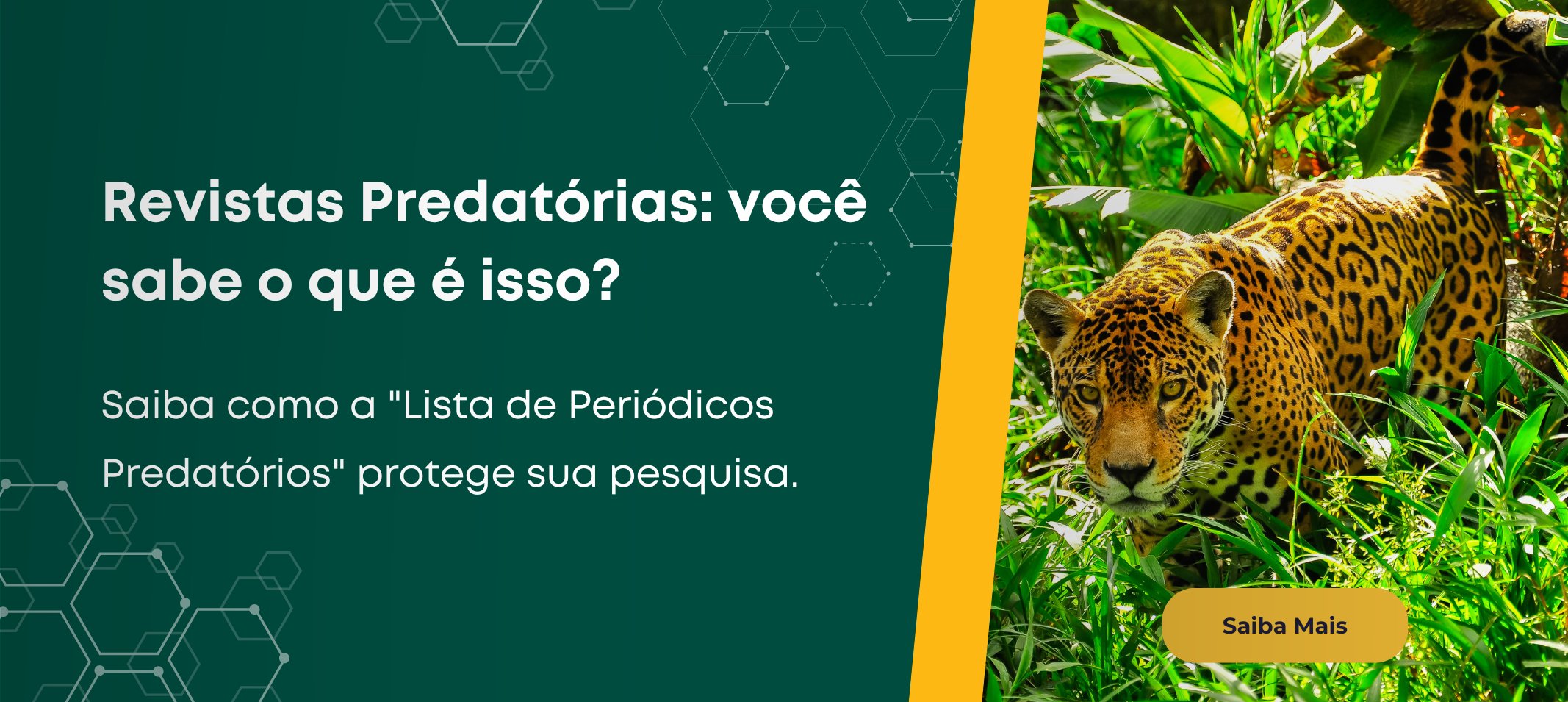 Risco na Publicação?