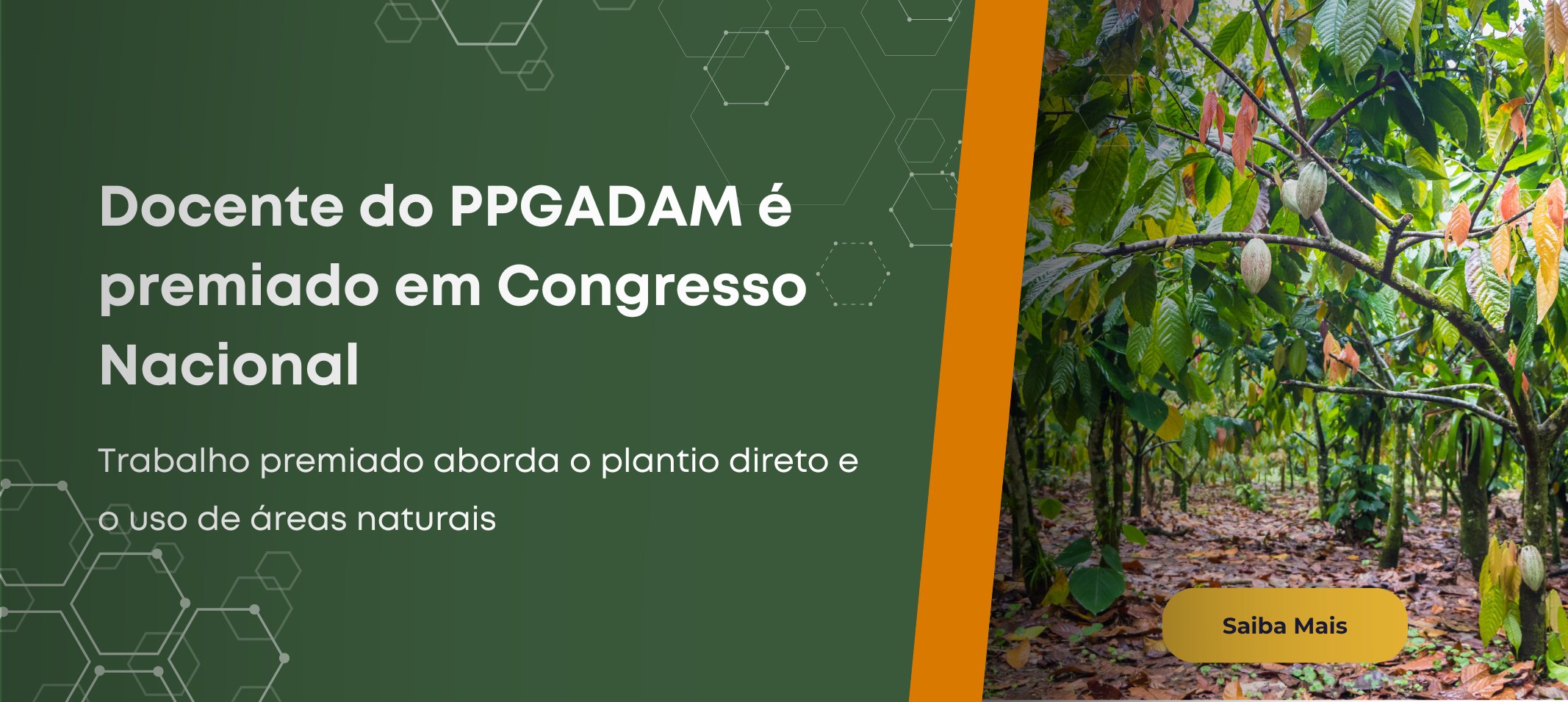 COFECON premia docente do PPGADAM