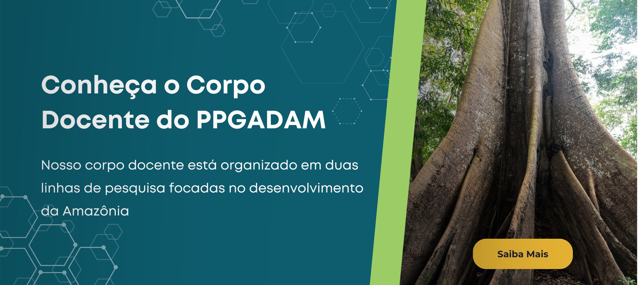 Docentes do PPPGADAM