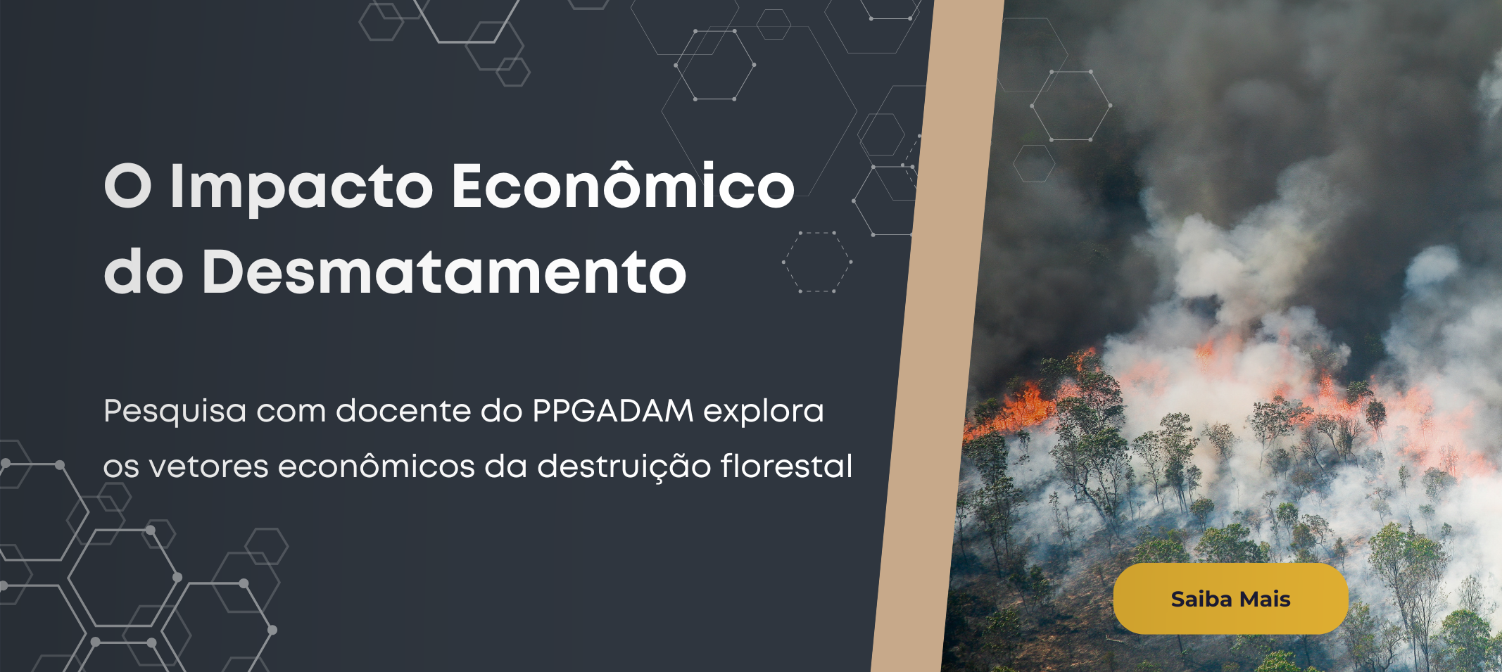 Desvendando o Desmatamento na Amazônia