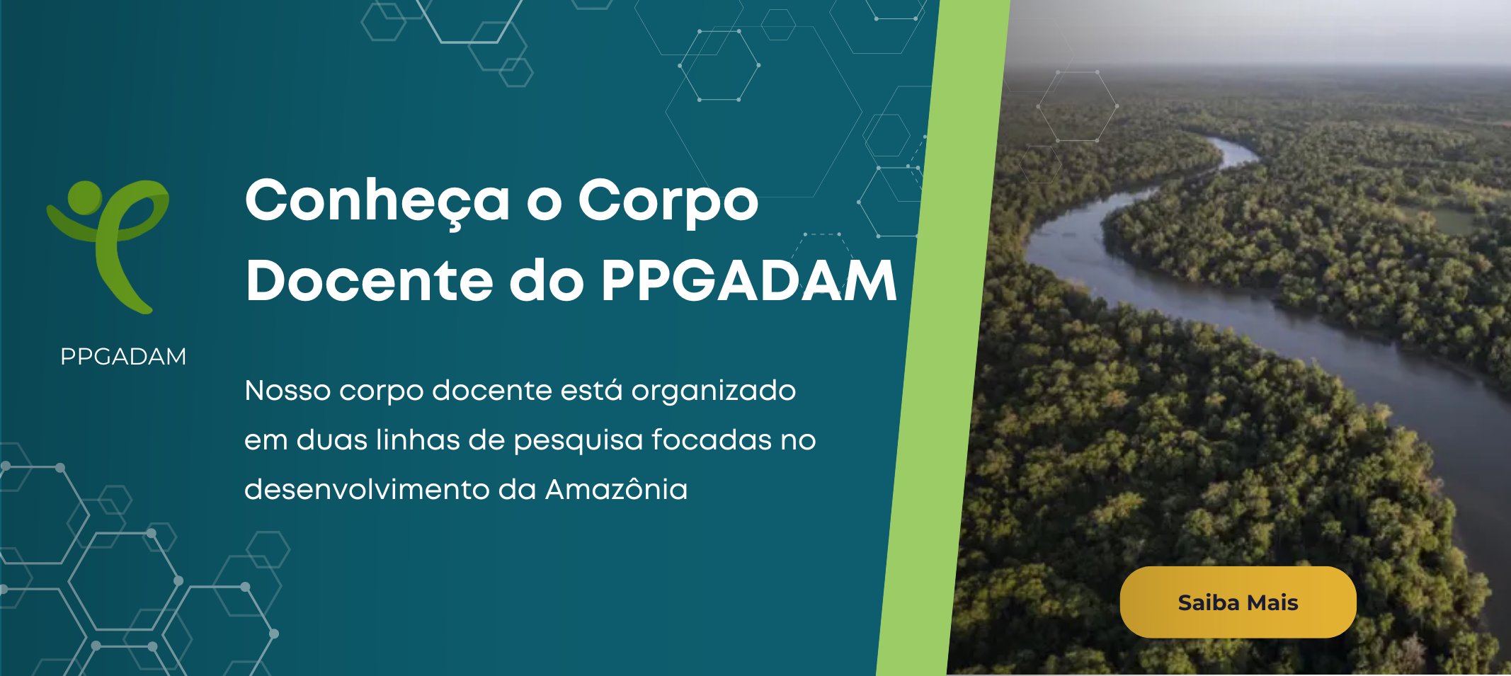 Docentes do PPPGADAM