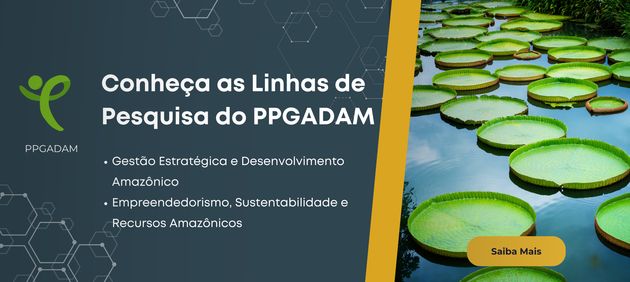 Linhas de Pesquisa do PPGADAM