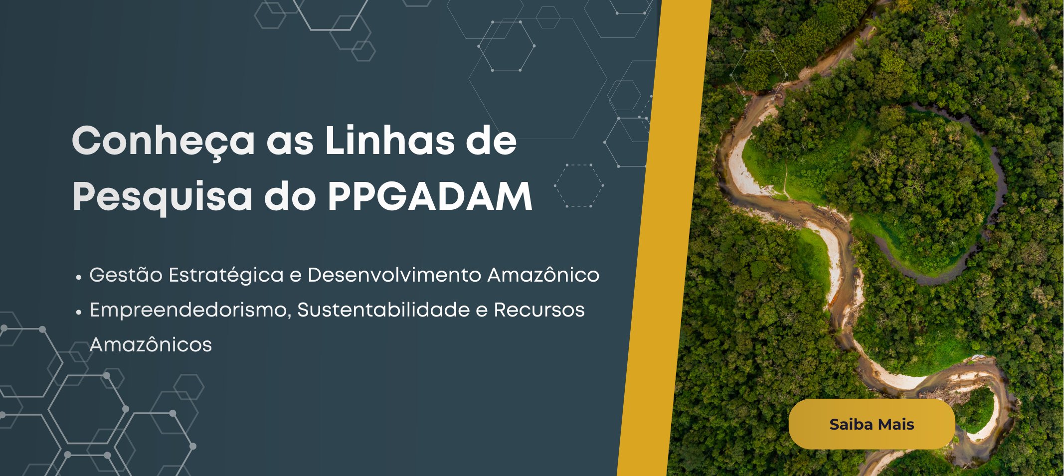 Linhas de Pesquisa do PPGADAM